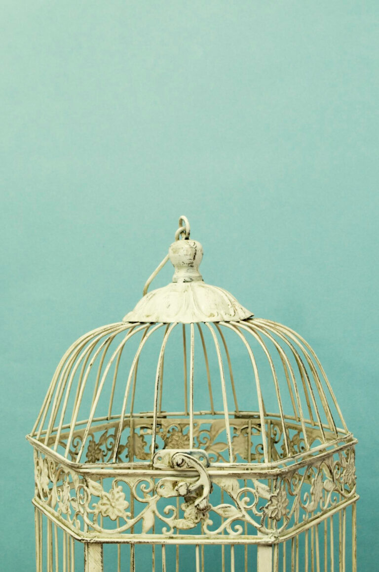Lire la suite à propos de l’article Êtes-vous prisonnier du syndrome de la cage dorée ?