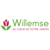 logowillemse